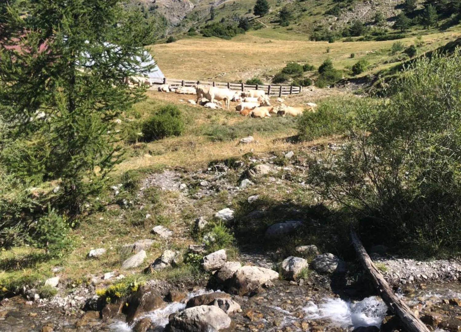 Chez Julie Villa Seyne 0*,  France